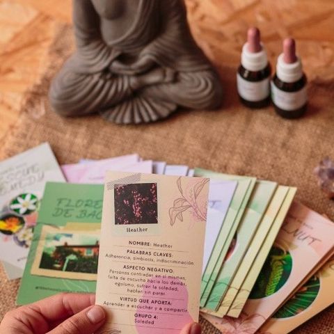 Combo Flores de Bach – Conexión y Sabiduría Floral 