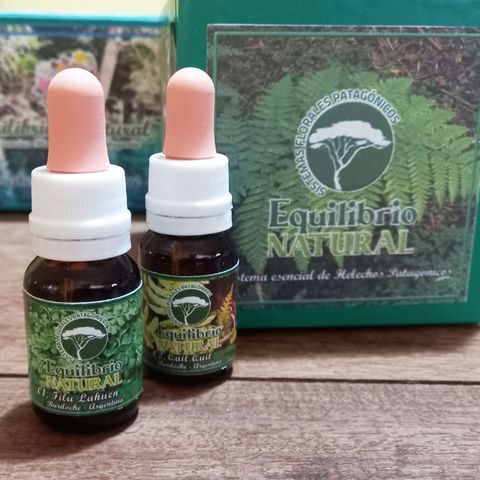 Sistema Floral de Helechos Patagónicos