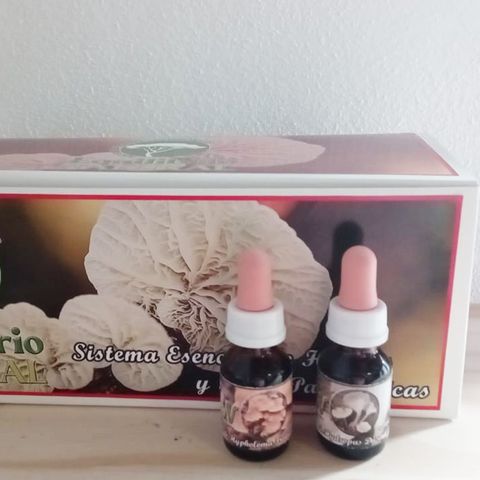 Sistema Esencial de Hongos y Setas Patagónicos