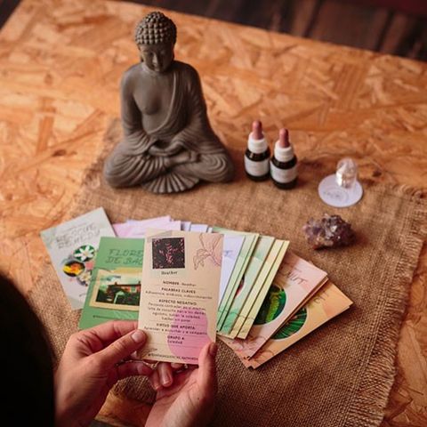 Flores de Bach – Cartas de Conexión y Aprendizaje . (Producto digital)