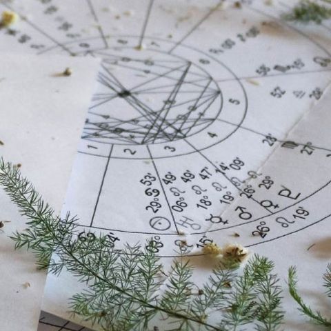 Astroterapia holística floral . Samanta Arzán