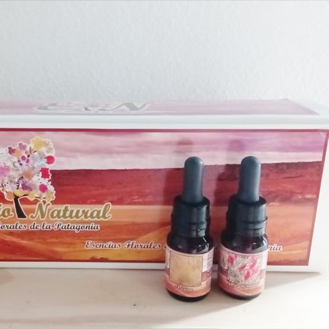 Sistema Floral de Estepa y Desierto Patagónico