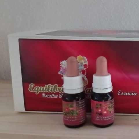 Sistema floral del bosque andino 36 esencias