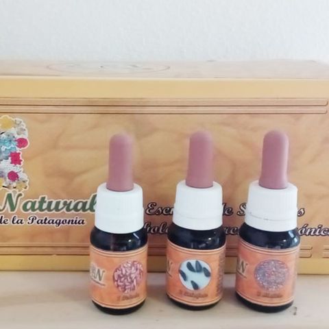 Sistema de Esencias de Semillas Patagónicas