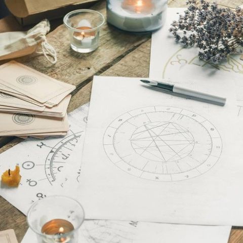 Astro floral . Valeria Soto Valenzuela