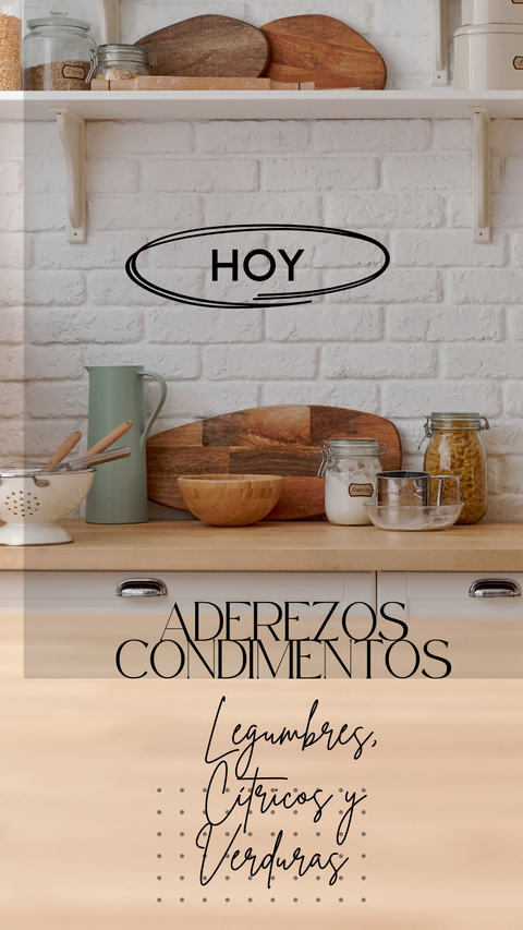 ADEREZOS Y CONDIMENTOS (PDF)