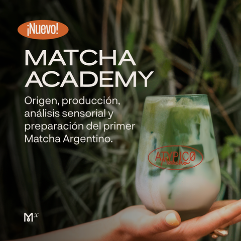 Matcha Academy