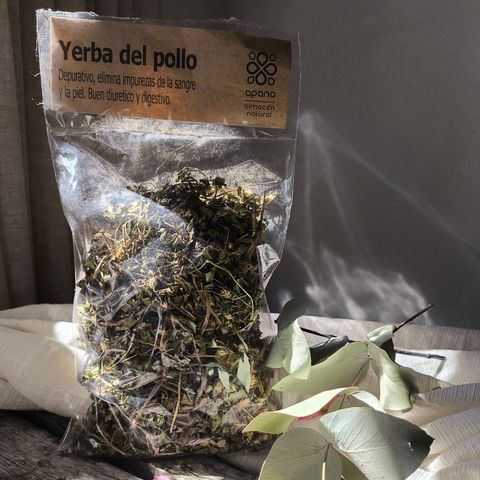 Yerba de pollo