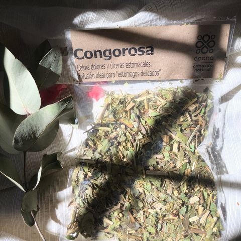 Congorosa