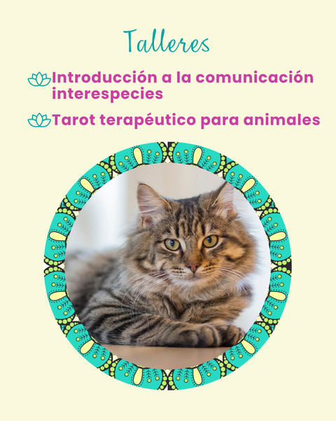 Comunicación Terapéutica para Animales