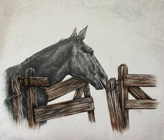 Relinchos a lo lejos