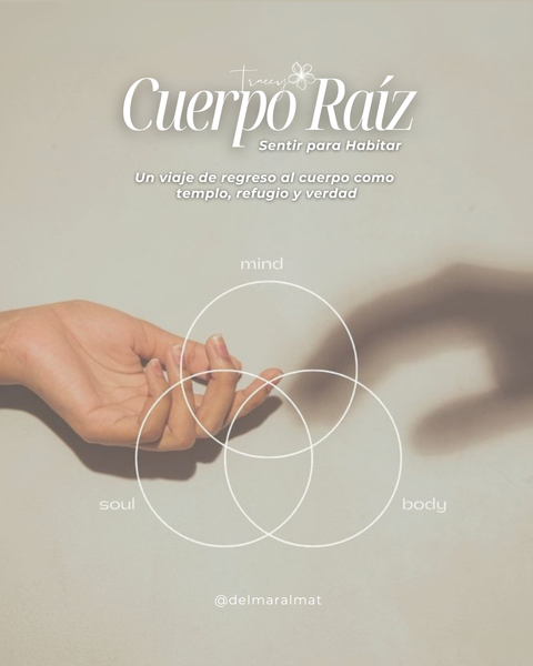 Cuerpo Raíz