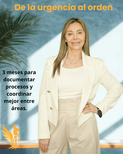 Intervención estructural → Nivel 2 · 3 meses