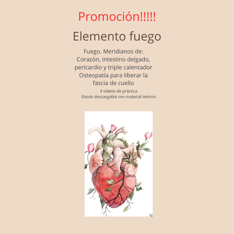 Promoción!! elemento Fuego