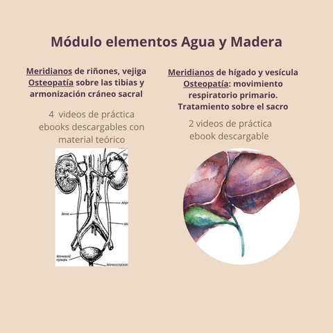 Combo! elementos Agua y Madera