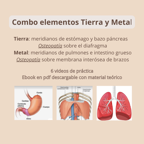 Combo elementos tierra y metal 