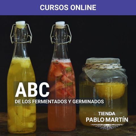 El ABC de los fermentados y germinados