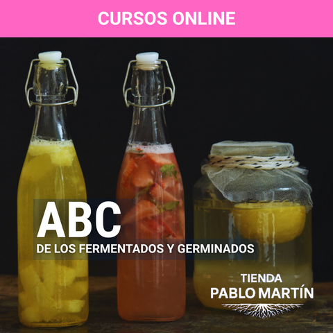 El ABC de los fermentados y germinados