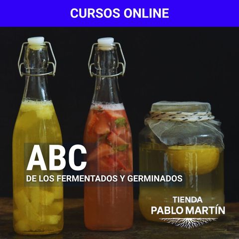 El ABC de los fermentados y germinados