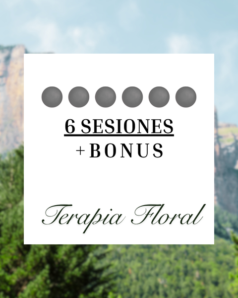 TERAPIA FLORAL: 6 SESIONES + BONUS