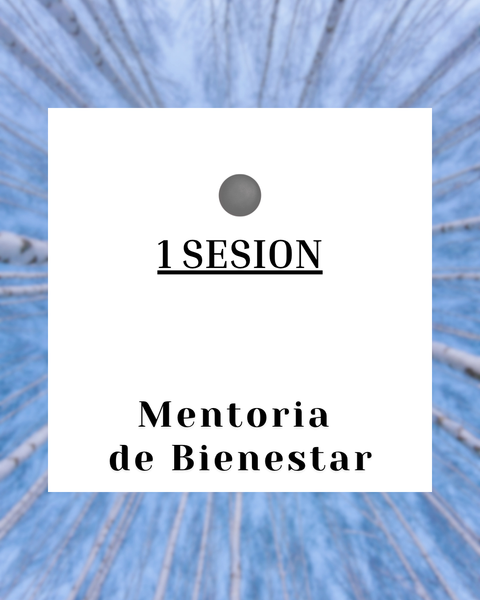 Mentoria 1 a 1: UNA SESION