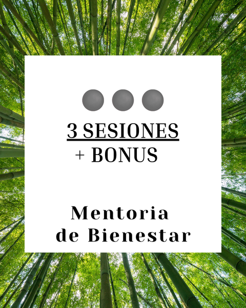 Mentoria 1 a 1: 3 SESIONES + BONUS