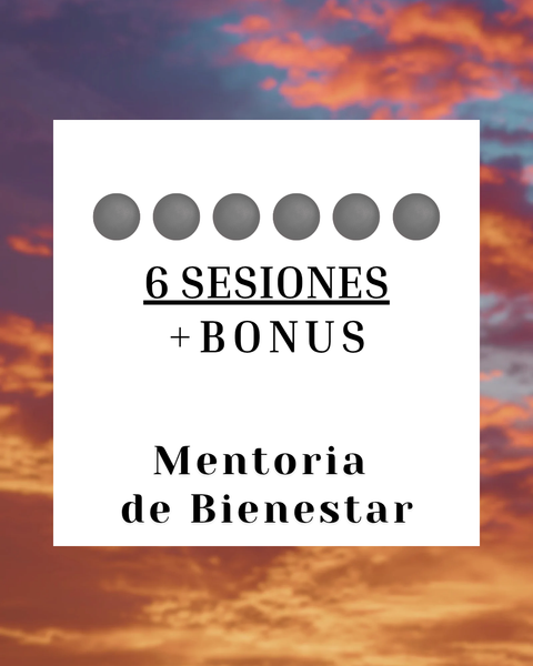 Mentoria 1 a 1: 6 SESIONES + BONUS