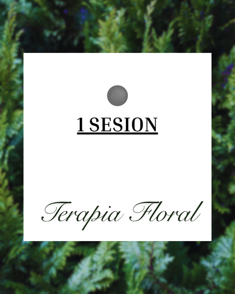 TERAPIA FLORAL: 1 SESION