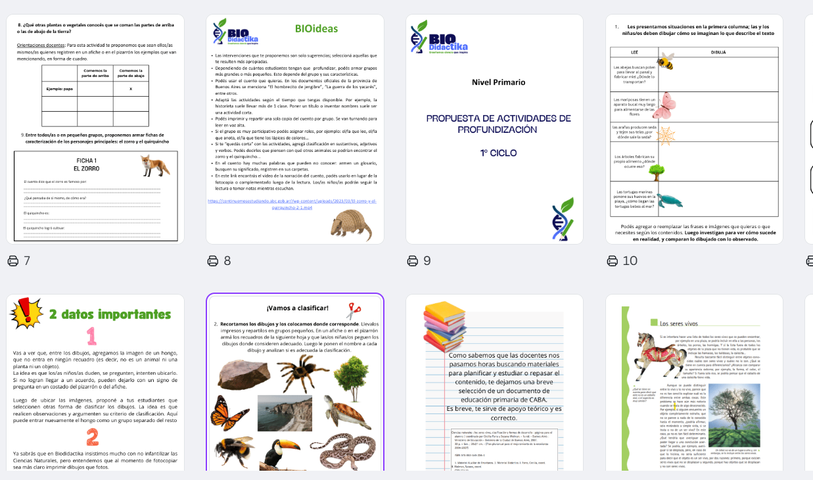 Actividades de profundización (o intensificación) para primaria