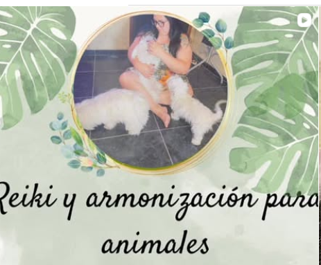 Daiana @reiki.paramascotas