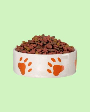 Cómo elegir un buen alimento balanceado para tu perro o gato