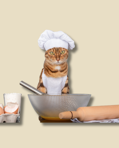 ¿Qué necesito para preparar una dieta casera para mi mascota?