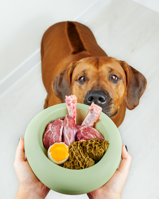 Volver a lo natural: la nueva tendencia en nutrición animal