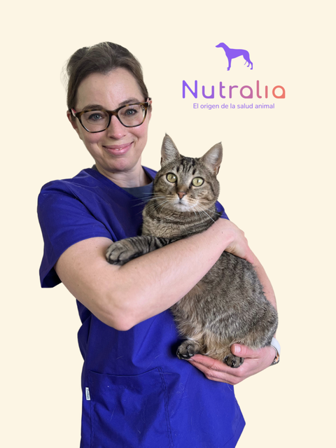 Revisión de dieta actual