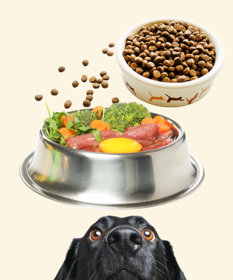 Transición a dietas naturales