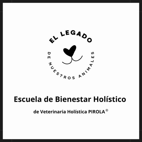 Escuela de Bienestar Holístico - El LEGADO 