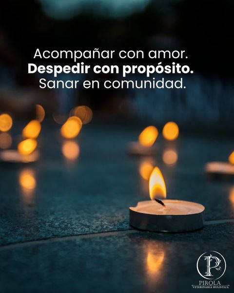 Acompañar con amor. Despedir con propósito. Sanar en comunidad.