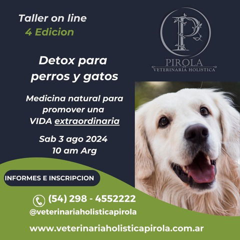 Detox para perros y gatos 