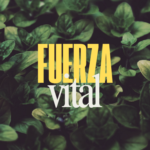 Sesión Fuerza Vital 🪷