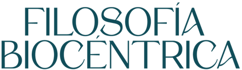 Valentino Terren Toro