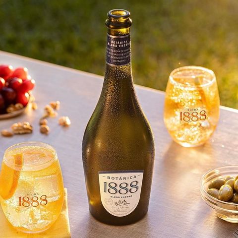 SIDRA-DAY 1888 Botánica