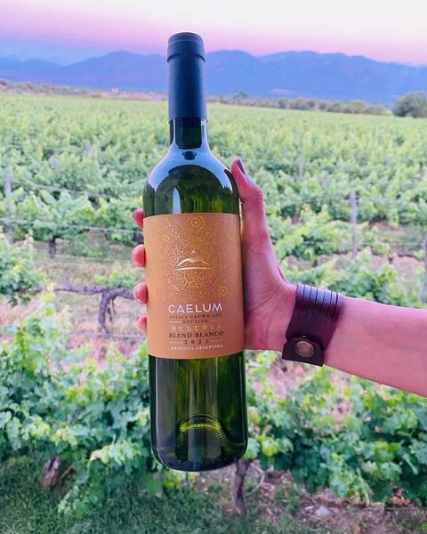 Caelum reserva blanco - FERIA DE VINOS