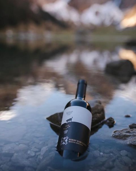 Perro Callejero malbec - FERIA DE VINOS