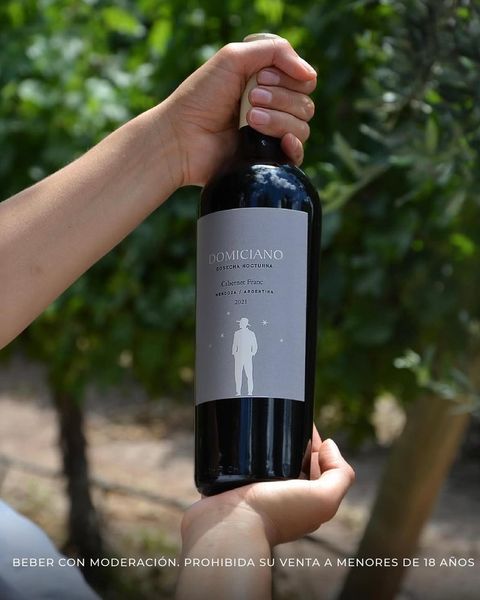 Domiciano cabernet franc - FERIA DE VINOS