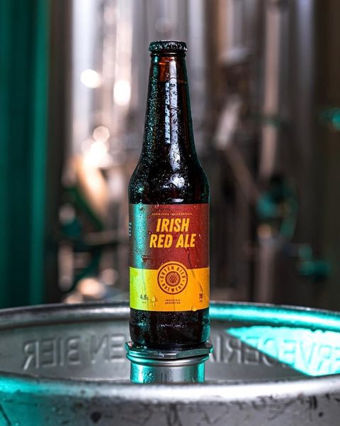 Guten American Amber ALE - PACKx6 - FIESTA BIRRERA
