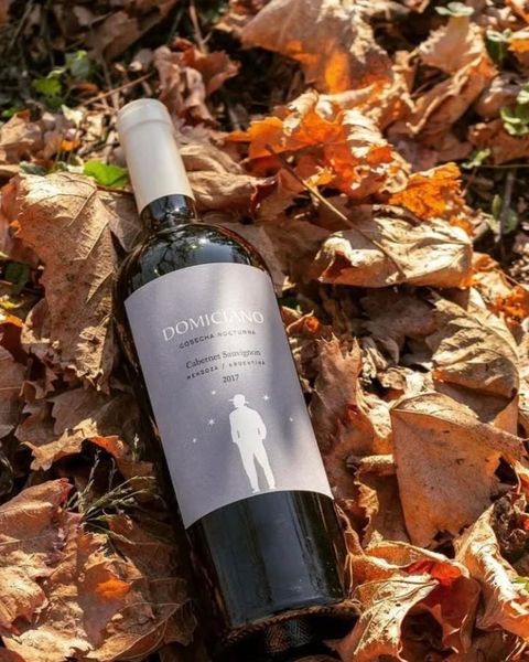 Domiciano cabernet sauvignon - FERIA DE VINOS