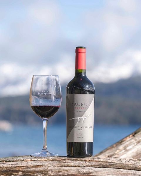 Saurus Select cabernet cabernet - FERIA DE VINOS