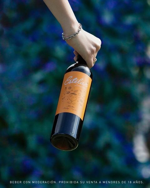 Estelar malbec - FERIA DE VINOS