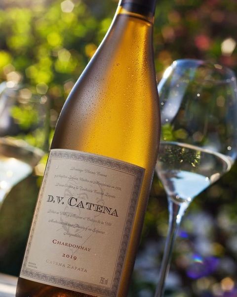 DV. Catena chardonnay - FERIA DE VINOS