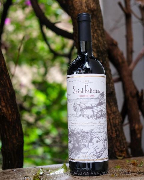 Saint Felicien cabernet franc - FERIA DE VINOS